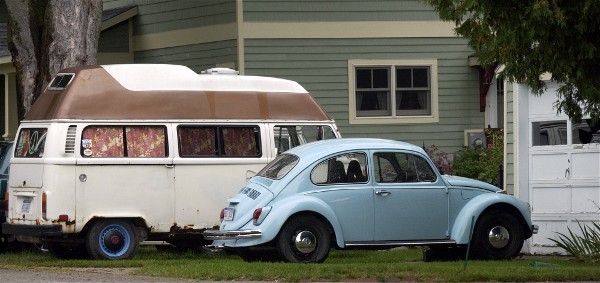 Web bugvanhouse.jpg