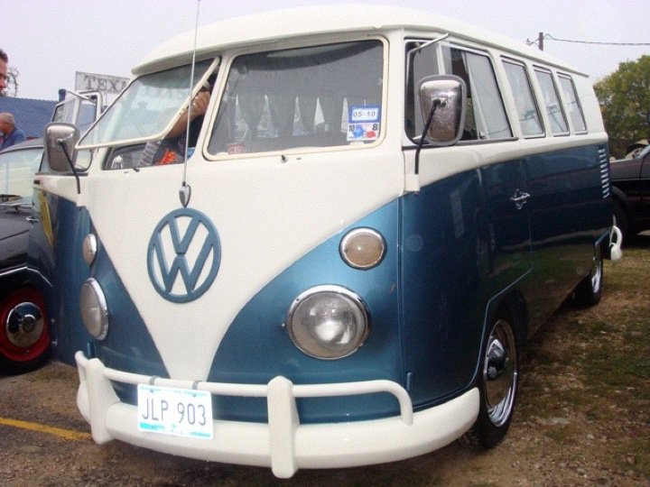 dugbugcolor.jpg
