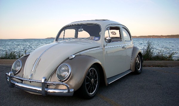 Web baybug2.jpg
