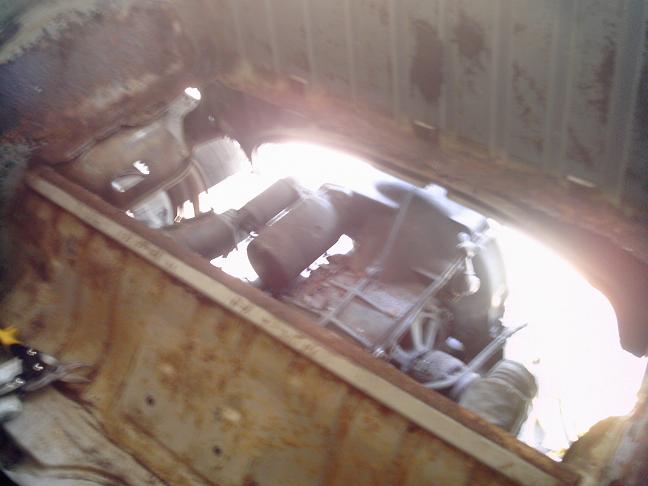 packagr tray 2.JPG