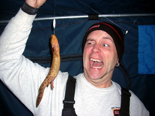 Web mudpuppy.jpg