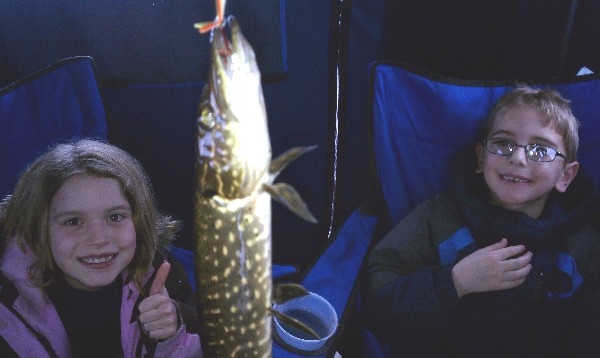 Web pike.jpg