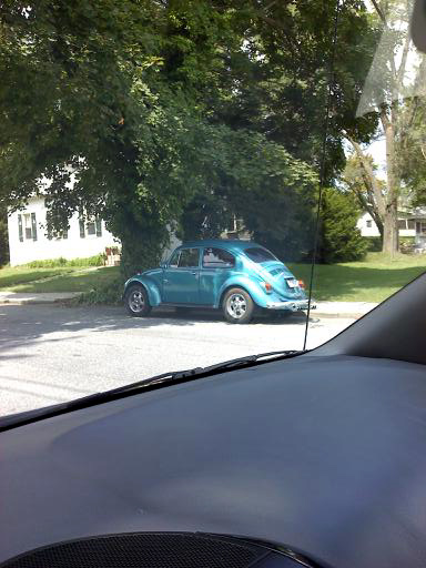 bluebug2.jpg