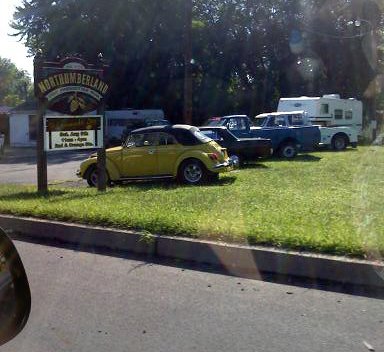 yellow bug.jpg