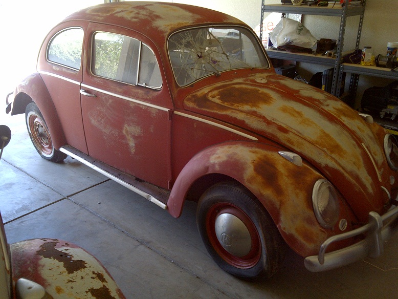 63 Beetle.jpg