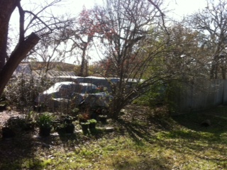 VW yard1.JPG