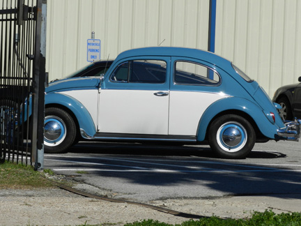Woodlands bug 1.jpg