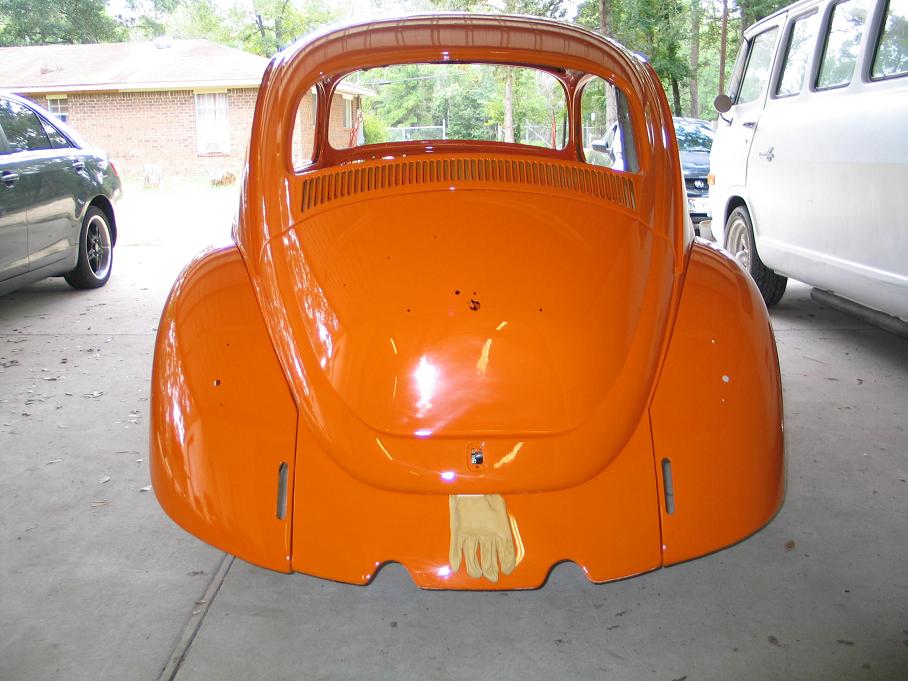 BUG 005.jpg