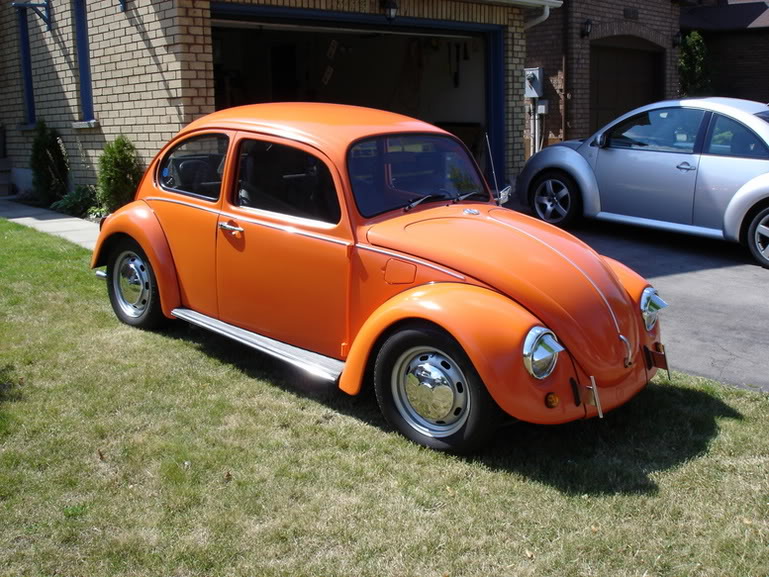 roller bug.jpg