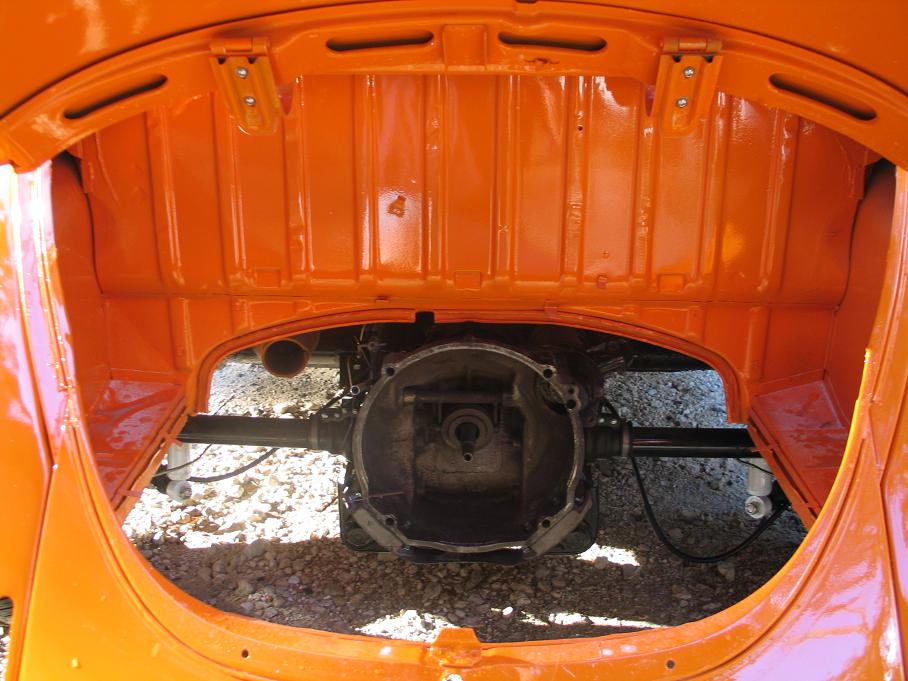 BUG 034.jpg