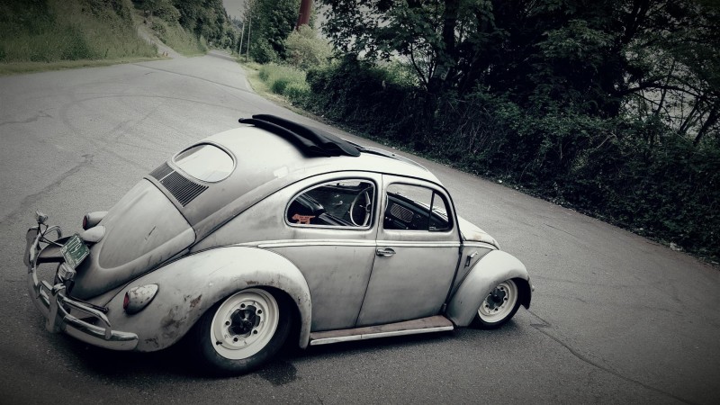 56 bug day1 021.jpg