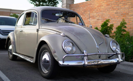 Blast Beetle.png