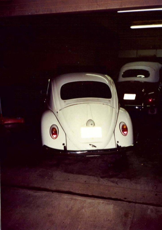 iBug_Meister_2.jpg