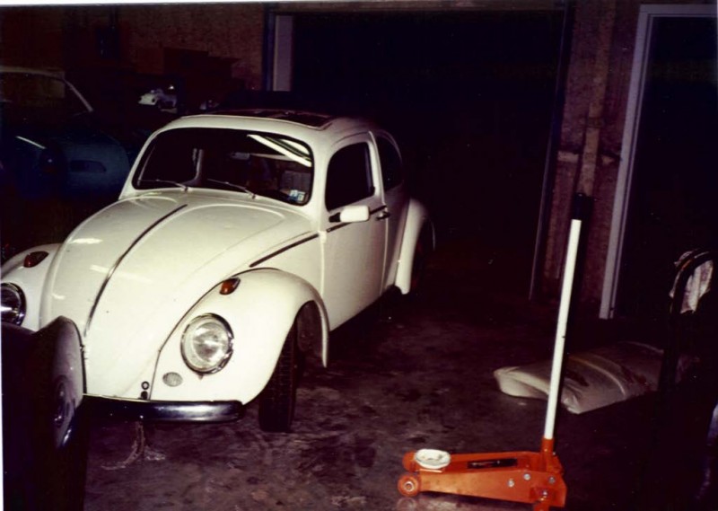 iBug_Meister_1.jpg