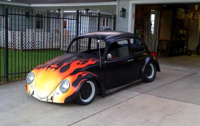 Bug Pic.JPG