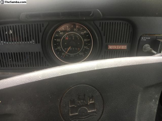 7975802.jpg