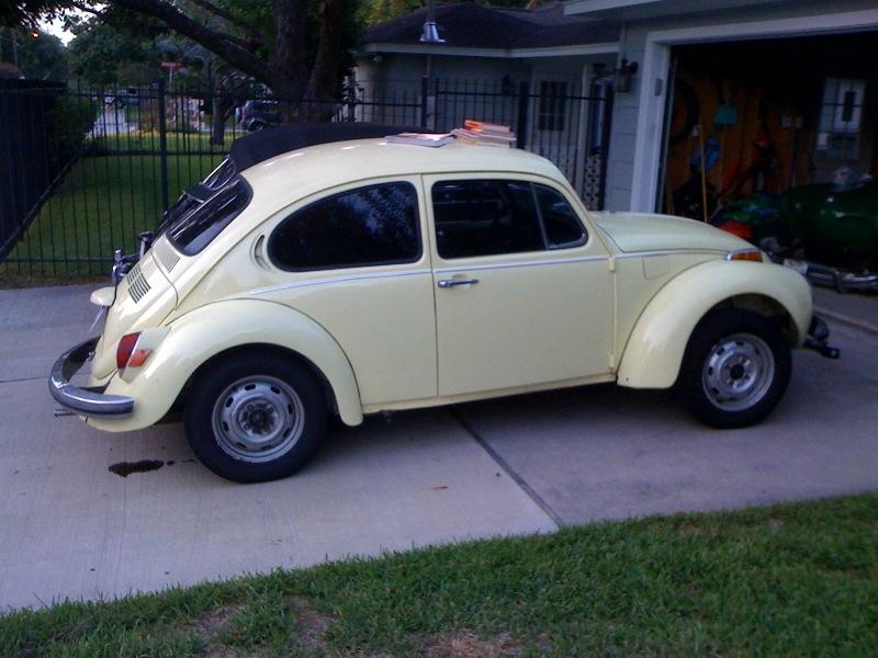 Super Beetle 2.JPG