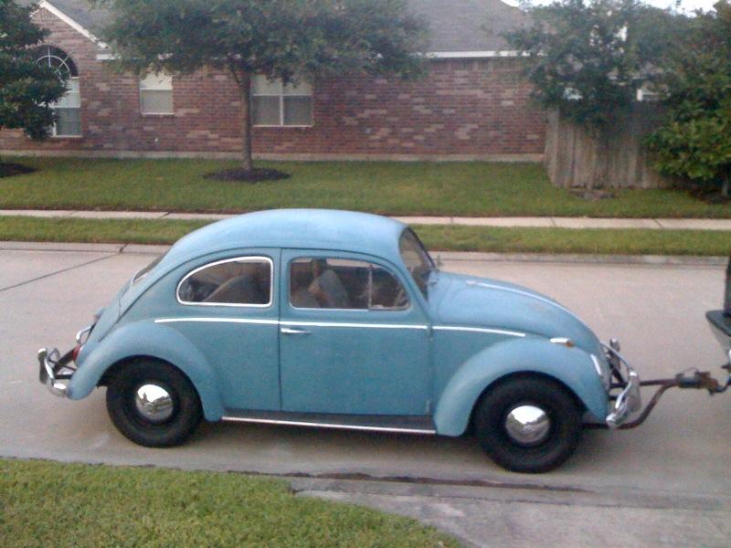 62 Bug.JPG