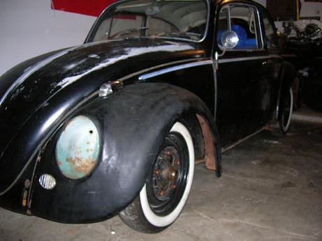bug 001.jpg