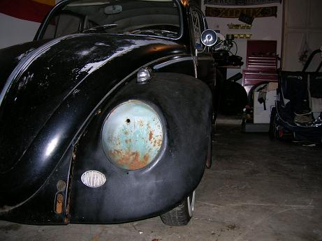 bug 003.jpg