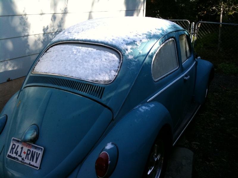 Snow on the Bug.jpg